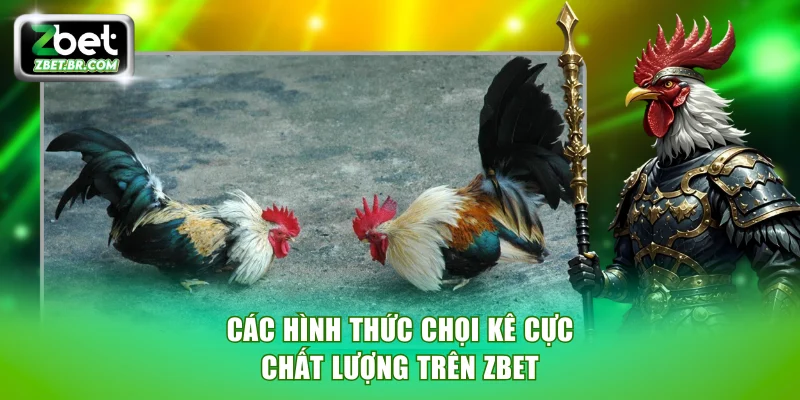 Các hình thức chọi kê cực chất lượng trên ZBET