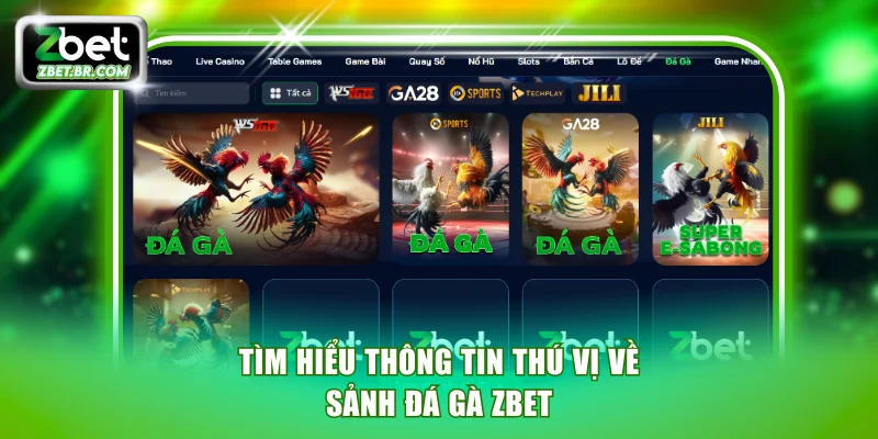 Tìm hiểu thông tin thú vị về sảnh Đá gà ZBET